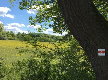 Karstwanderweg bei Düna Karstwanderweg bei Düna