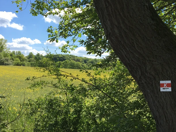 Karstwanderweg bei Düna Karstwanderweg bei Düna