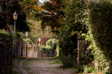 Stadtmauer im Herbst Stadtmauer mit Herbstbepflanzung