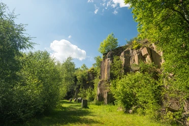 Felswand im Mayener Grubenfeld