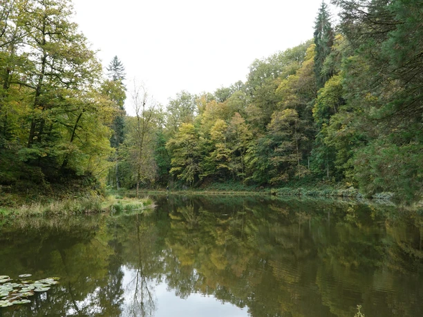 Burgweiher in Manderscheid