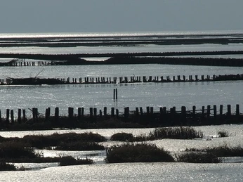 Strand Elpersbüttel © Uwe Buck - Tourist-Info Meldorf 2-haupt