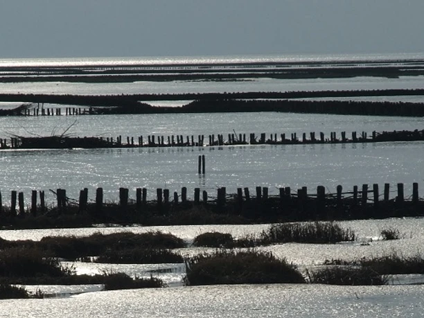 Strand Elpersbüttel © Uwe Buck - Tourist-Info Meldorf 2-haupt