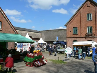 Elbmarschenhaus-Fruehlingsfest_web.jpg