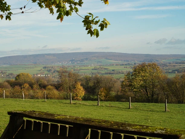 Blick auf eine weitläufige, herbstliche Hügellandschaft, gesäumt von Bäumen und Wiesen unter blauem Himmel.
