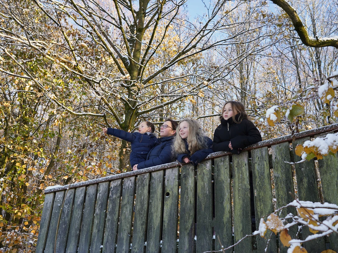 Landschaftsblick Mehrere Personen in Winterkleidung stehen hinter einem Holzzaun und blicken in einen schneebedeckten Wald.