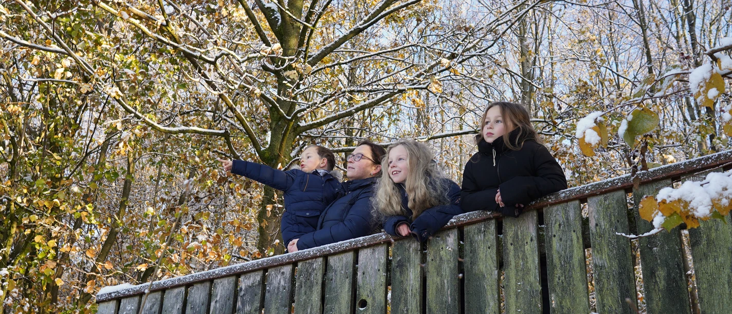 Landschaftsblick Mehrere Personen in Winterkleidung stehen hinter einem Holzzaun und blicken in einen schneebedeckten Wald.