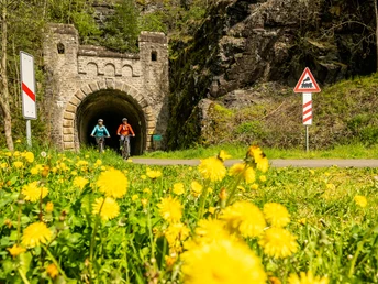 Enz-Radweg, alter Bahntunnel bei Neuerburg