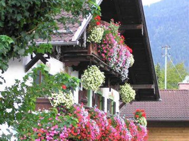 Seitenansicht