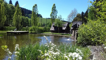 Hexenhäuschen im Naturerlebnispark Lerbach Naturteich mit Hexenhäuschen im Hintergrund