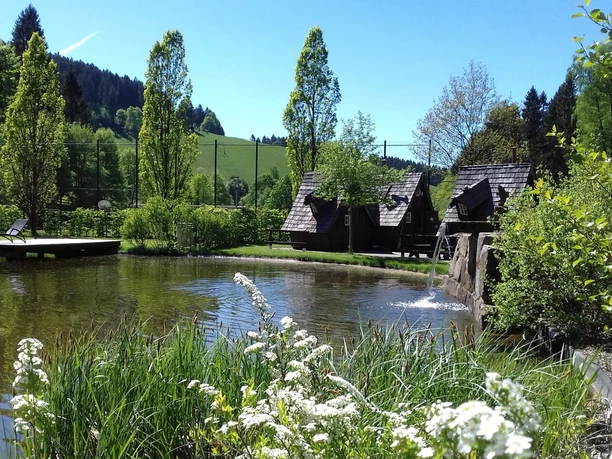 Hexenhäuschen im Naturerlebnispark Lerbach Naturteich mit Hexenhäuschen im Hintergrund