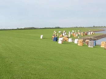 IMG_0789 (2) - Hauptbild