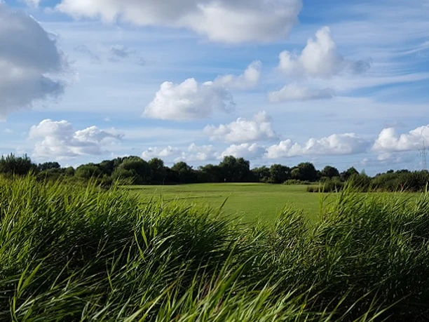 golfplatz-open-county-1x3