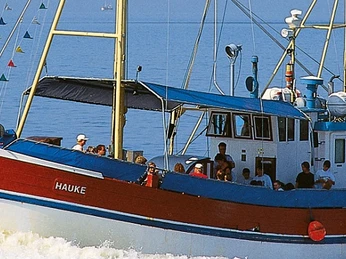 MS Hauke Bug links-haupt