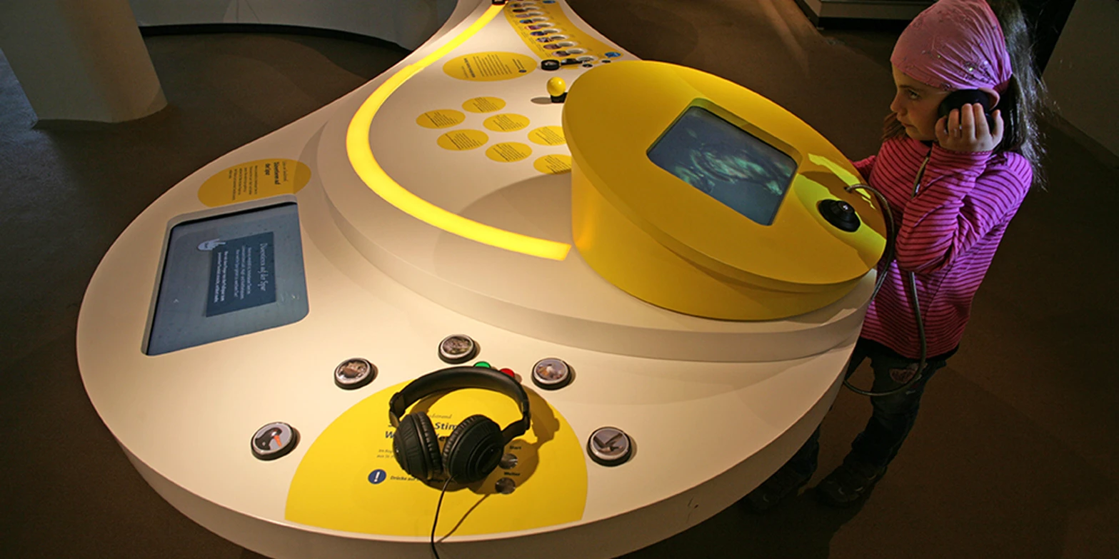 Interaktiver Tisch in der Ausstellung im Nationalparkhaus St Peter-Ording