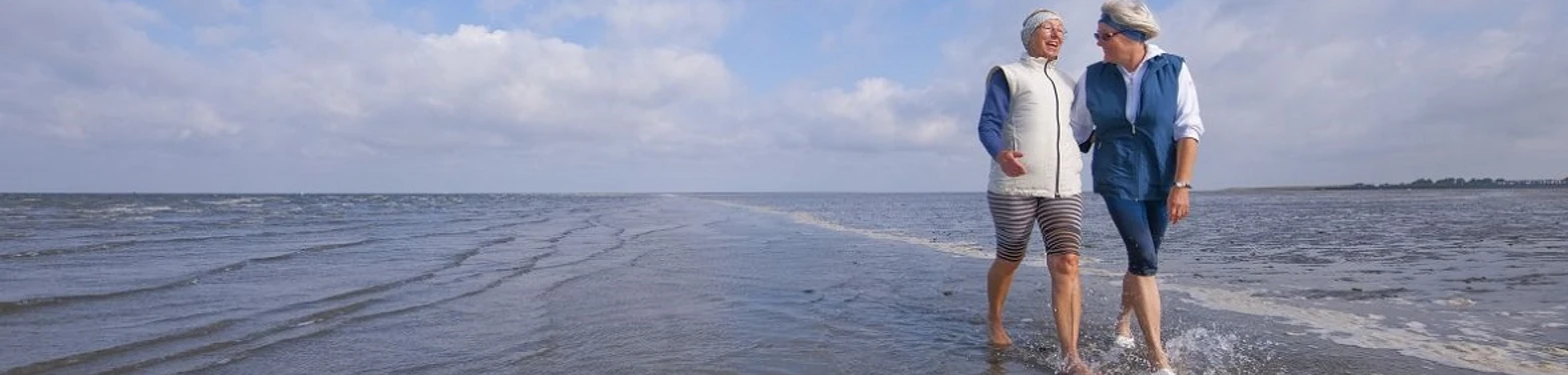 Wattspazierer_Bue_Dith5663-haupt