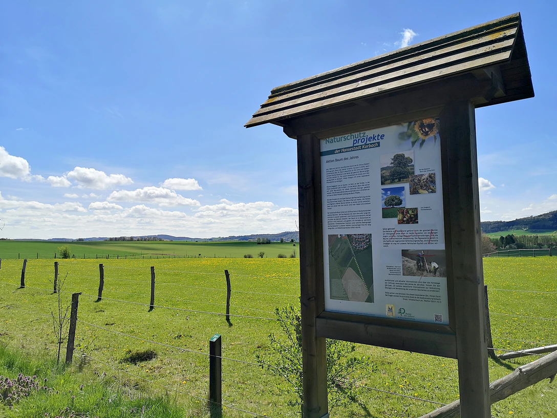 Tafel Baumlehrpfad Ellerbruch
