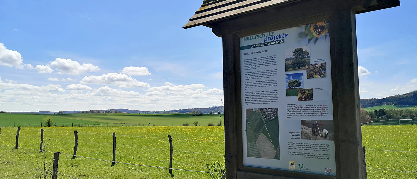 Tafel Baumlehrpfad Ellerbruch