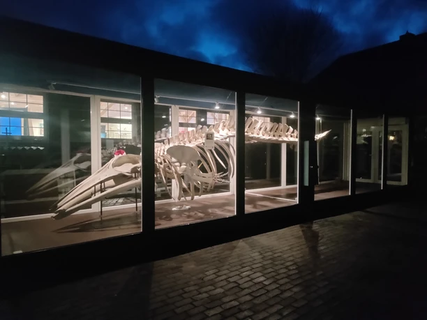 Waltraud auf Juist.jpg Waltraud auf Juist