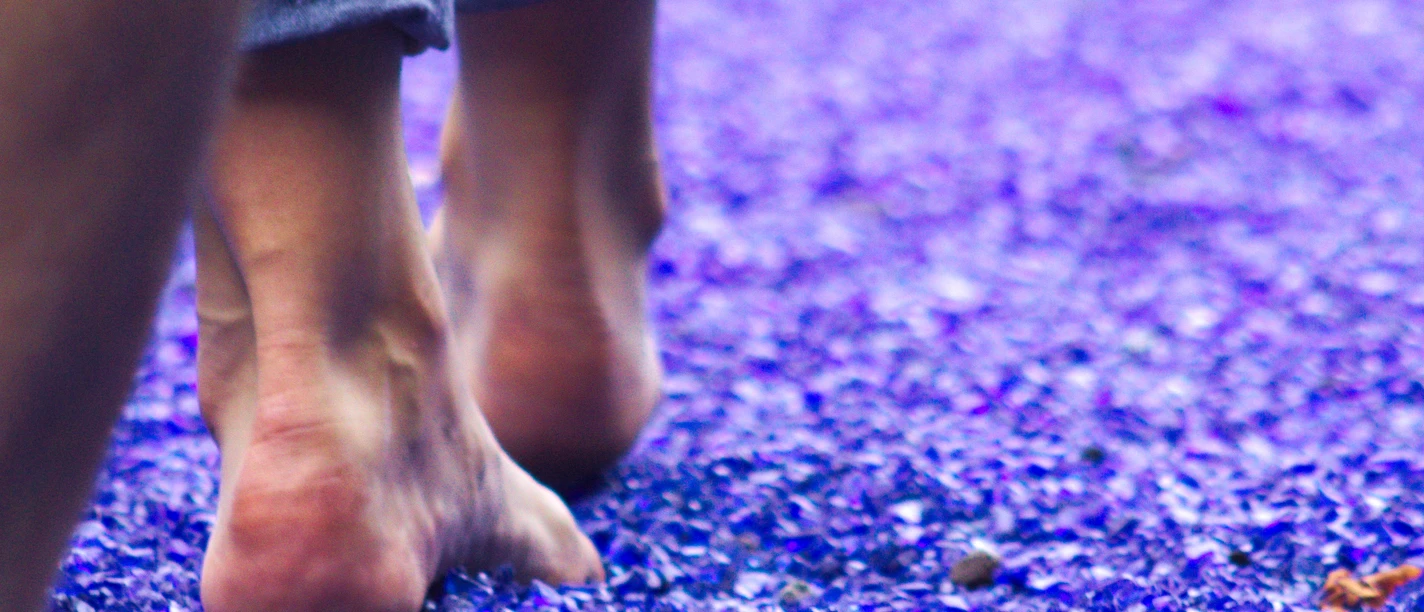 Barfußpfad im Erlebnis-Kurpark Bad Laer Bad Laer barefoot path