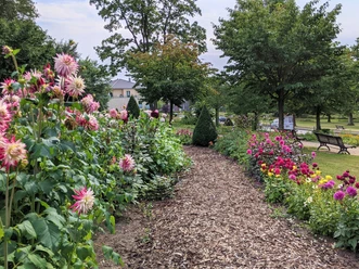Dahliengarten im Erlebnis-Kurpark Bad Laer Dahliengarten im Erlebnis-Kurpark Bad Laer