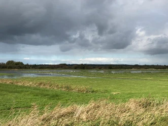 Eider-Treene-Sorge-Niederung