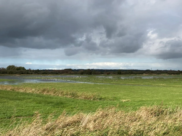 Eider-Treene-Sorge-Niederung