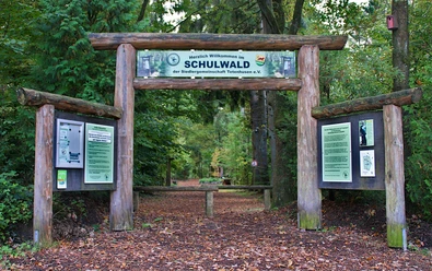 Schulwald Tetenhusen