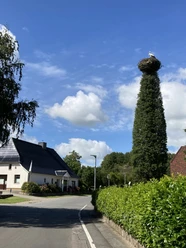 Storch in Bergenhusen