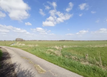 Natur pur im Koog