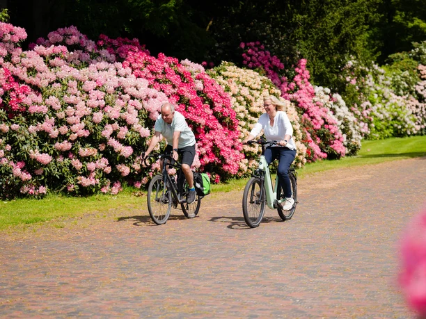 Rad_Fahrrad_Gruppe_Paar_Rhododendron_Park-39.jpg