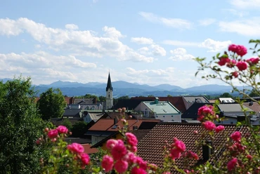 Hofer Stubn Bad Aibling