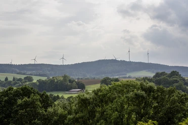 Windkraft im Wald