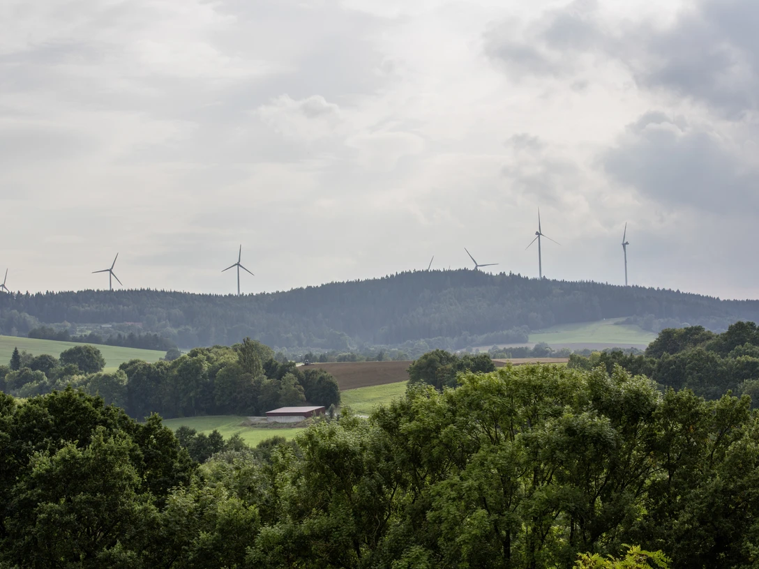 Windkraft im Wald