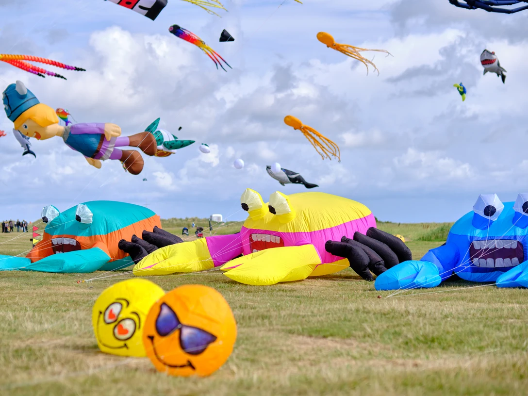 Drachenfest_2023_Schillig 16.jpg