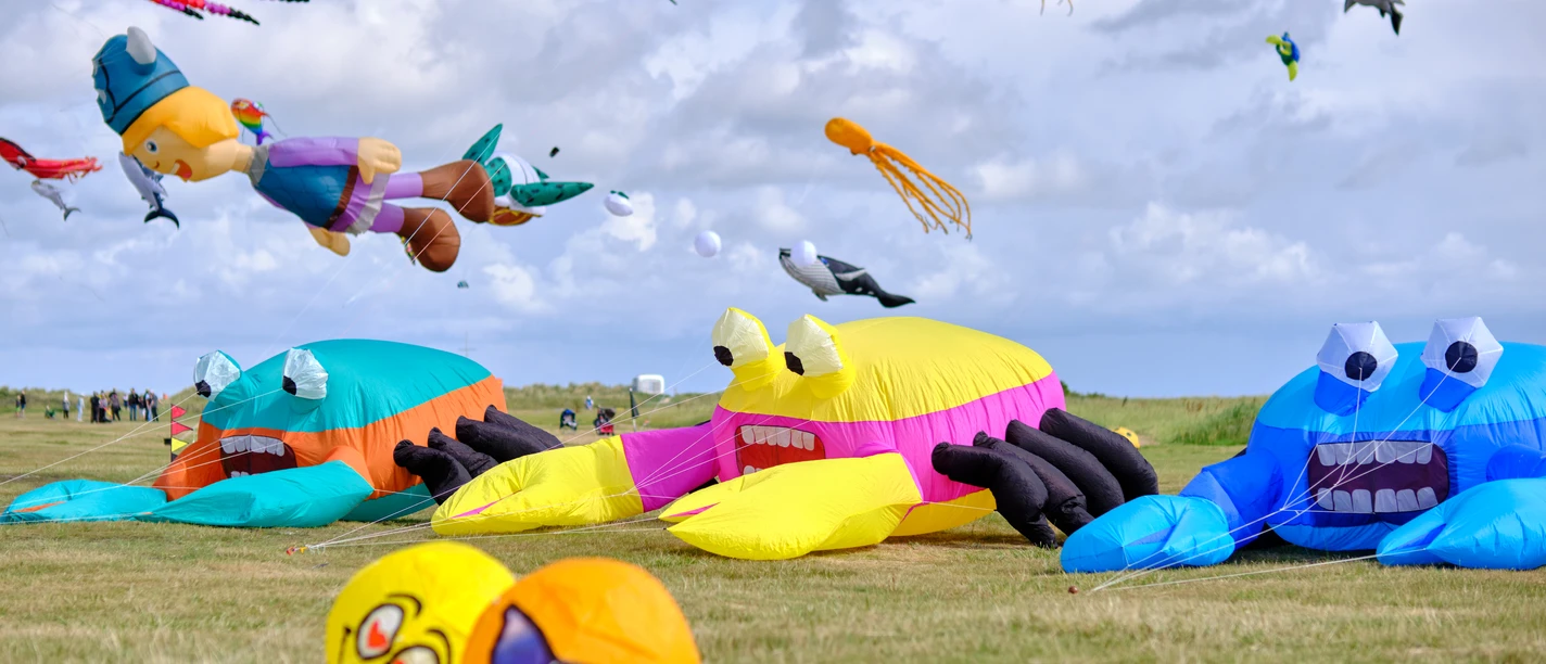 Drachenfest_2023_Schillig 16.jpg