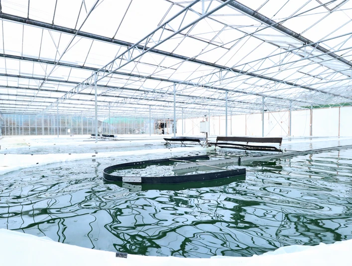 JoMaa Spirulina - Algenfarm in Rockstedt