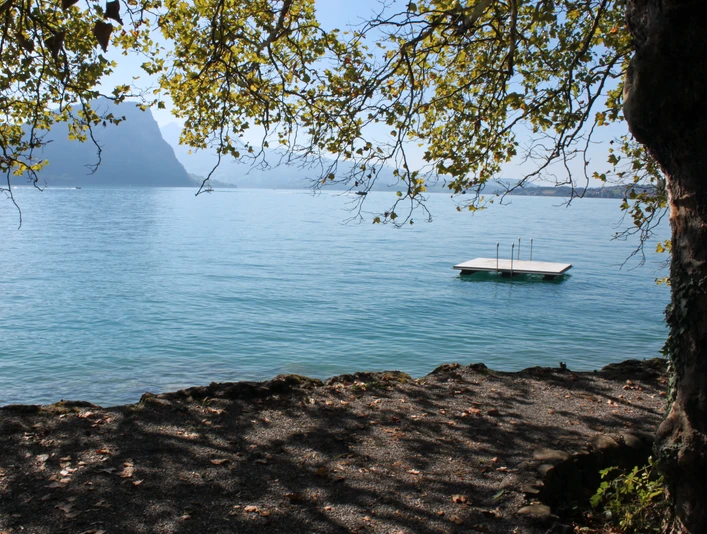 Brougierpark Aire de baignade Blick aufs Floss beim BrougierparkView of the raft at Brougierpark