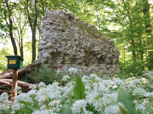 Lichtenstein Steinmauerrest Lichtenstein Steinmauerrest