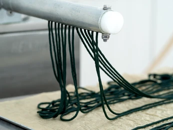 Produktion bei JoMaa Spirulina