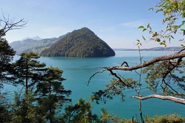 Obere Nas Aussicht von der oberen Nas auf den Vierwaldstättersee
