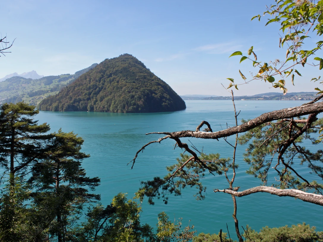 Obere Nas Aussicht von der oberen Nas auf den VierwaldstätterseeView of Lake Lucerne from the upper NasVue sur le lac des Quatre-Cantons depuis le Nas supérieur
