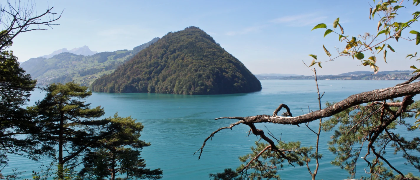 Obere Nas Vue sur le lac des Quatre-Cantons depuis le Nas supérieur
