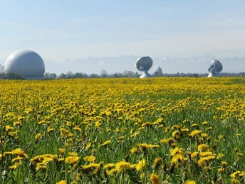 Erdefunkstelle Raisting mit dem Radom (Industriedenkmal)