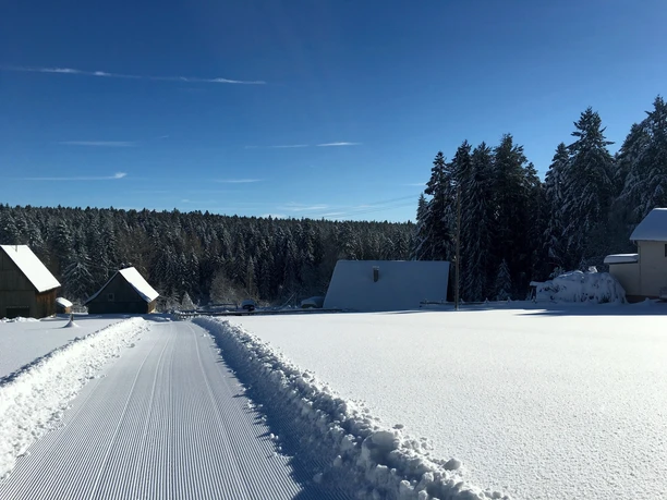 Loßburg Langlaufspur 2 - Steinwaldspur