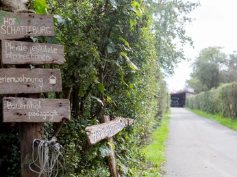 Hof Schatteburg in der Gemeinde Rhauderfehn, 20231004_Hof_Schatteburg_Hofleben_00000000002.jpg Auffahrt mit kleiner Straße und grünen Bäumen und Schildern von Brettern übereinander als Informationsschild