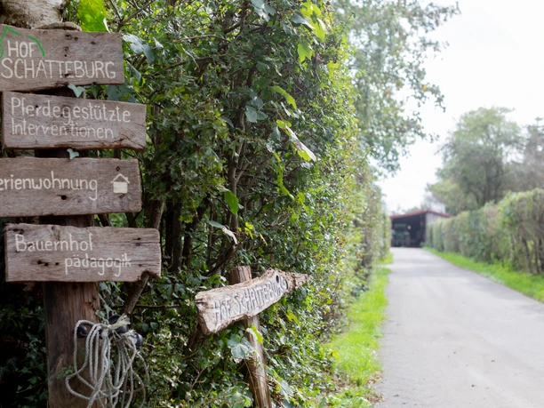 Hof Schatteburg in der Gemeinde Rhauderfehn, 20231004_Hof_Schatteburg_Hofleben_00000000002.jpg Auffahrt mit kleiner Straße und grünen Bäumen und Schildern von Brettern übereinander als Informationsschild