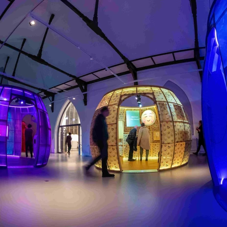 Die Ausstellung "Unsichtbare Welten" läuft im Braunschweigischen Landesmuseum