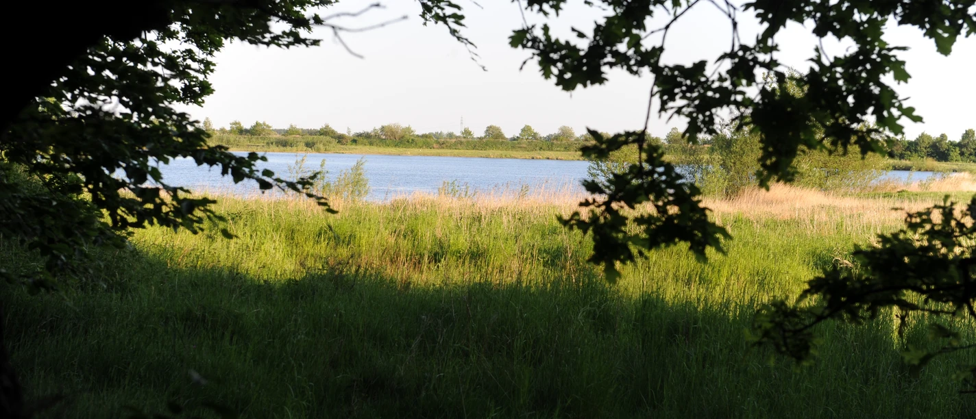 Seenlandschaft Handewitt