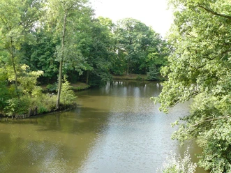 Swan Pond Park Borsdorf